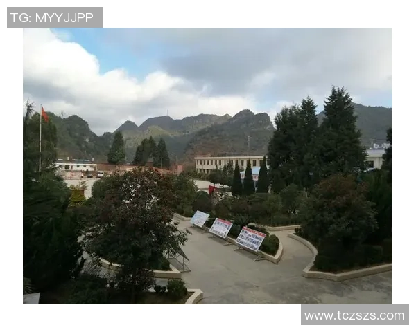 女足球明星的偶像之路：从梦想起航到全球舞台的辉煌成就